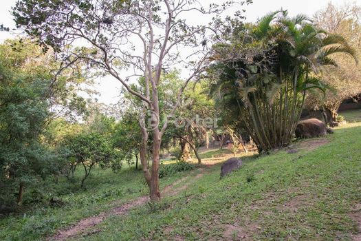 Foto 7 do(a) Fazenda / Sítio / Chácara false à venda em Campo Novo, Porto Alegre
