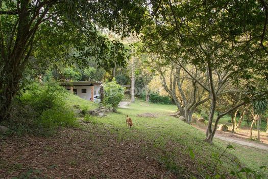 Foto 13 do(a) Fazenda / Sítio / Chácara false à venda em Campo Novo, Porto Alegre