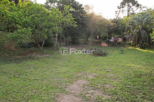 Foto 19 do(a) Fazenda / Sítio / Chácara false à venda em Campo Novo, Porto Alegre