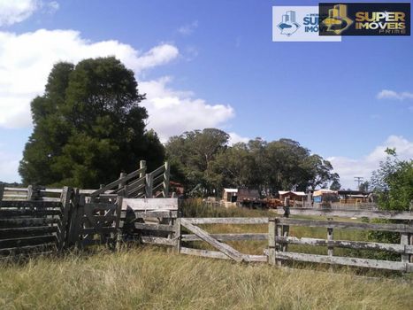 Foto 44 do(a) Fazenda / Sítio / Chácara de 4 quartos à venda em Quinta, Rio Grande