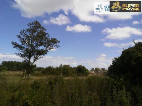 Foto 47 do(a) Fazenda / Sítio / Chácara de 4 quartos à venda em Quinta, Rio Grande