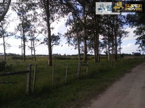 Foto 40 do(a) Fazenda / Sítio / Chácara de 4 quartos à venda em Quinta, Rio Grande