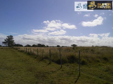 Foto 1 do(a) Fazenda / Sítio / Chácara de 4 quartos à venda em Quinta, Rio Grande