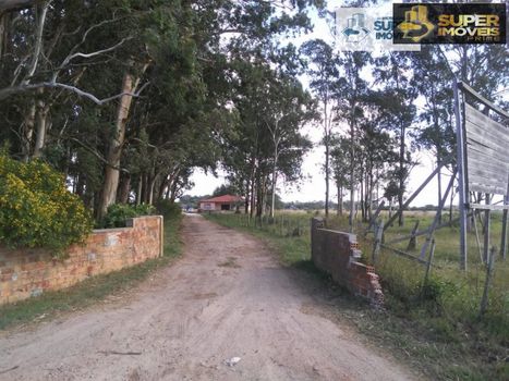 Foto 26 do(a) Fazenda / Sítio / Chácara de 4 quartos à venda em Quinta, Rio Grande