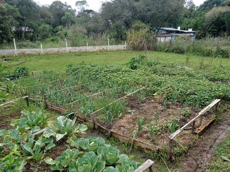 Foto 9 do(a) Fazenda / Sítio / Chácara de 2 quartos à venda em Campo Largo da Roseira, São José dos Pinhais