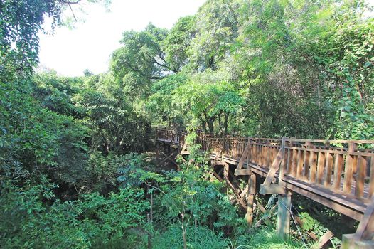 Foto 41 do(a) Flat de 3 quartos à venda em Três Figueiras, Porto Alegre
