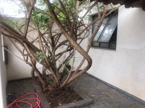 Foto 4 do(a) Casa de 3 quartos à venda em Jardim Village, Lençóis Paulista