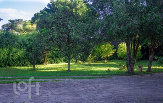 Foto 23 do(a) Casa de 6 quartos à venda em Belém Velho, Porto Alegre