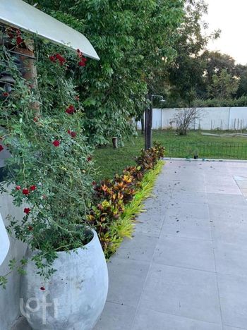 Foto 16 do(a) Casa de 6 quartos à venda em Belém Velho, Porto Alegre