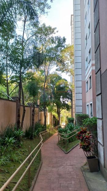 Foto 26 do(a) Apartamento de 2 quartos à venda em Jardim Lallo, São Paulo
