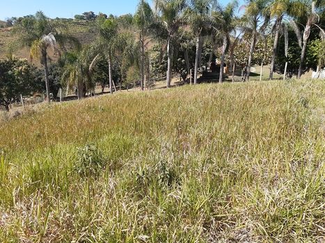 Foto 3 do(a) Terreno false à venda em Buquirinha, São José dos Campos