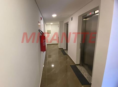 Foto 18 do(a) Apartamento de 3 quartos à venda em Chora Menino, São Paulo