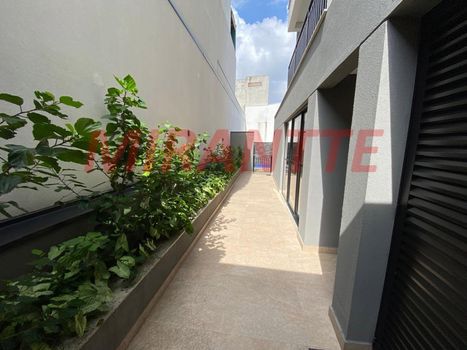 Foto 35 do(a) Apartamento de 3 quartos à venda em Chora Menino, São Paulo