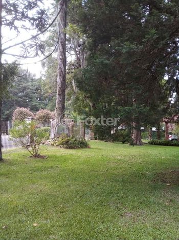 Foto 30 do(a) Fazenda / Sítio / Chácara de 6 quartos à venda em null, Canela