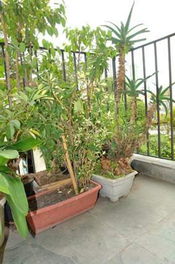 Foto 10 do(a) Apartamento de 3 quartos à venda em Vila Mariana, São Paulo