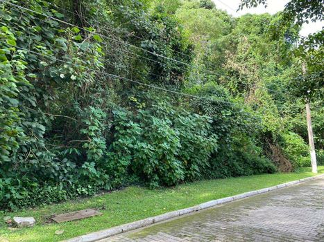 Foto 7 do(a) Terreno em Condomínio false à venda em Altos de São Fernando, Jandira