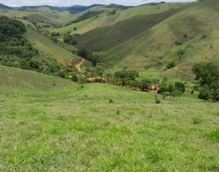 Foto 24 do(a) Fazenda / Sítio / Chácara de 6 quartos à venda em null, Oratórios