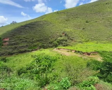 Foto 25 do(a) Fazenda / Sítio / Chácara de 6 quartos à venda em null, Oratórios