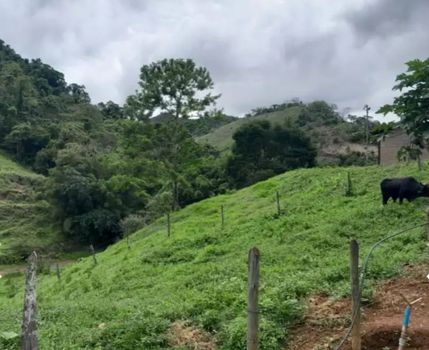 Foto 21 do(a) Fazenda / Sítio / Chácara de 6 quartos à venda em null, Oratórios