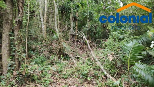 Foto 4 do(a) Terreno false à venda em Santa Clara, Jundiaí