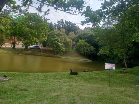 Foto 33 do(a) Casa em Condomínio de 3 quartos à venda em Nova Gardênia, Atibaia