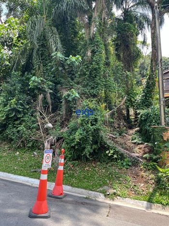 Foto 5 do(a) Terreno false à venda em Parque Viana, Barueri