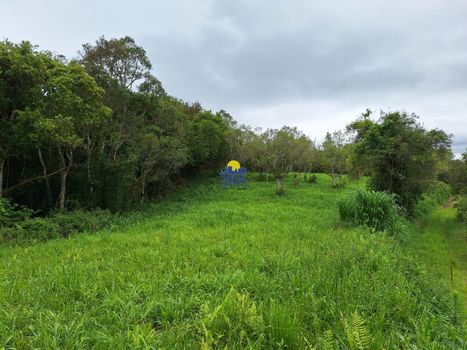 Foto 21 do(a) Terreno false à venda em Borda do Campo, São José dos Pinhais