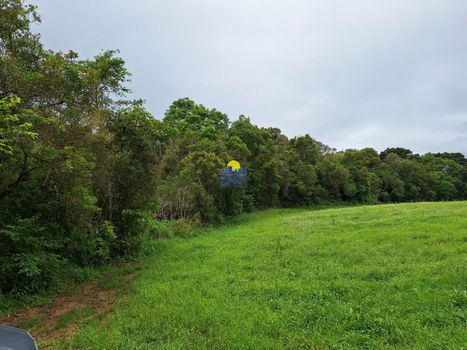 Foto 32 do(a) Terreno false à venda em Borda do Campo, São José dos Pinhais