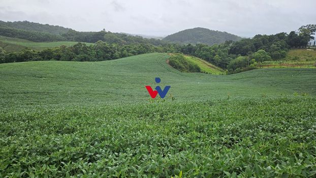 Foto 6 do(a) Fazenda / Sítio / Chácara de 1 quartos à venda em null, Contenda