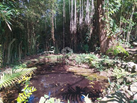 Foto 30 do(a) Fazenda / Sítio / Chácara de 2 quartos à venda em Rio Acima, Mairiporã
