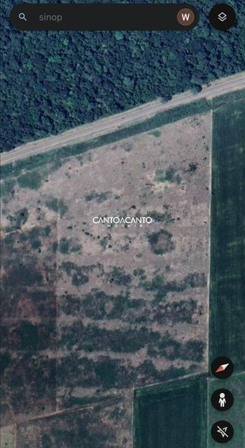 Foto 15 do(a) Fazenda / Sítio / Chácara false à venda em Área Rural de Sinop, Sinop