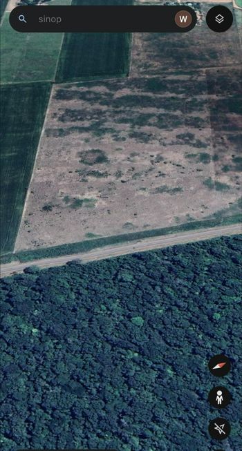 Foto 5 do(a) Fazenda / Sítio / Chácara false à venda em Área Rural de Sinop, Sinop