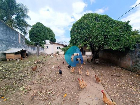 Foto 14 do(a) Terreno false à venda em São Domingos, São José dos Pinhais