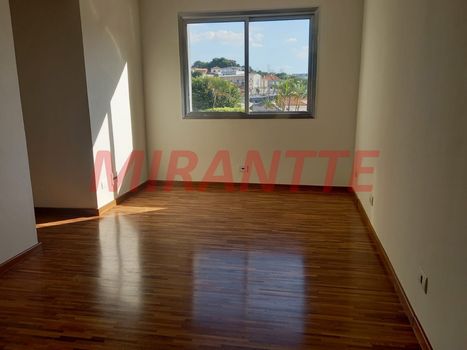 Foto 1 do(a) Apartamento de 3 quartos à venda em Moinho Velho, São Paulo