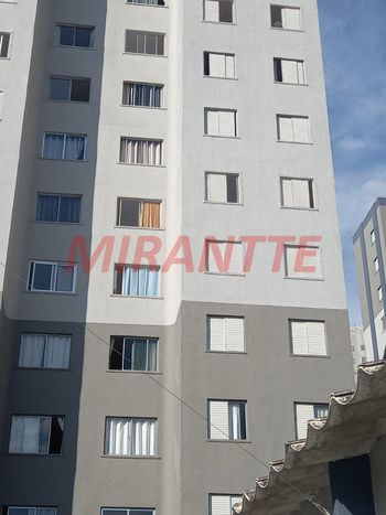 Foto 21 do(a) Apartamento de 3 quartos à venda em Moinho Velho, São Paulo