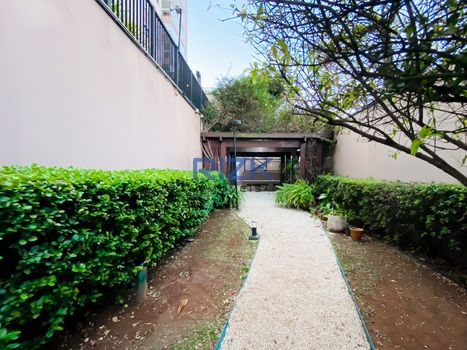 Foto 44 do(a) Apartamento de 3 quartos à venda em Vila Mariana, São Paulo