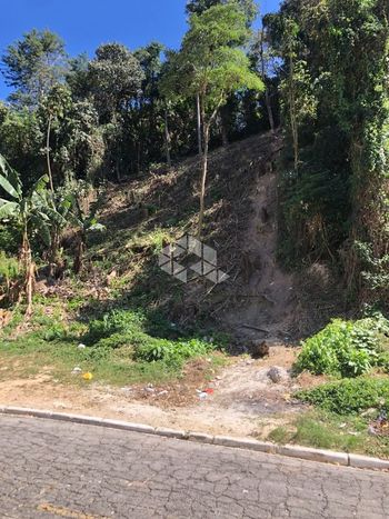 Foto 2 do(a) Terreno false à venda em Capoavinha, Mairiporã