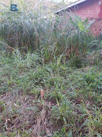 Foto 8 do(a) Terreno em Condomínio false à venda em null, Louveira