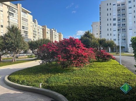 Foto 1 do(a) Apartamento de 3 quartos à venda em Serraria, São José