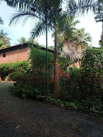 Foto 9 do(a) Fazenda / Sítio / Chácara de 6 quartos à venda em Setor Coimbra, Goiânia