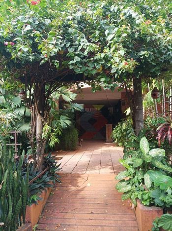 Foto 23 do(a) Fazenda / Sítio / Chácara de 6 quartos à venda em Setor Coimbra, Goiânia