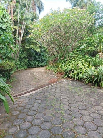 Foto 30 do(a) Fazenda / Sítio / Chácara de 6 quartos à venda em Setor Coimbra, Goiânia
