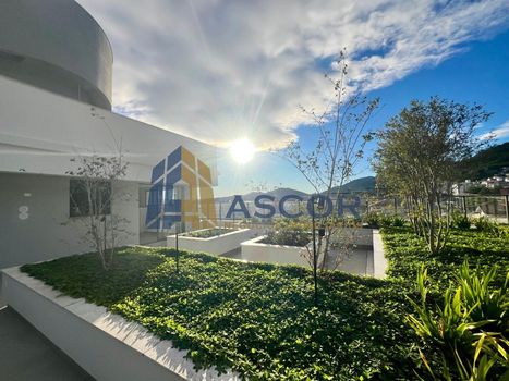 Foto 3 do(a) Kitnet / JK / Studio de 1 quartos à venda em Monte Verde, Florianópolis