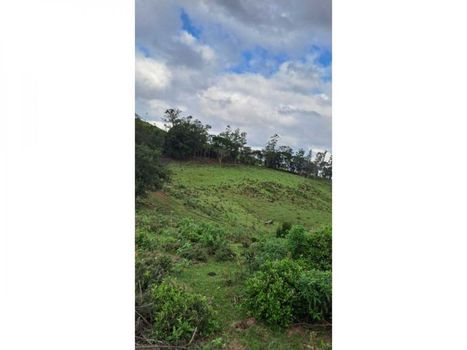 Foto 3 do(a) Fazenda / Sítio / Chácara false à venda em null, Kaloré