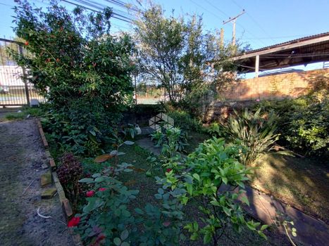 Foto 3 do(a) Terreno false à venda em COHAB C, Gravataí