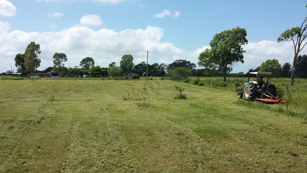 Foto 3 do(a) Fazenda / Sítio / Chácara false à venda em Povo Novo, Rio Grande