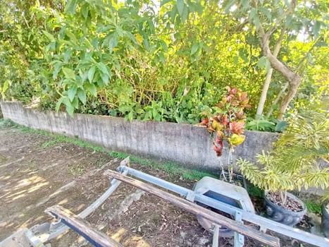Foto 3 do(a) Terreno false à venda em Jardim Brasil, Caraguatatuba