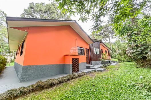 Foto 5 do(a) Fazenda / Sítio / Chácara de 3 quartos à venda em São Dimas, Colombo