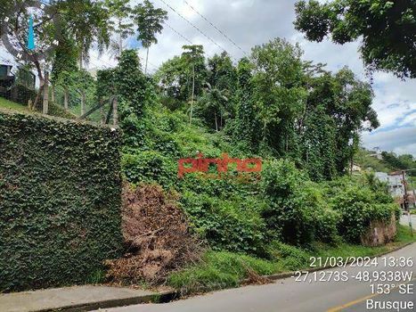 Foto 5 do(a) Terreno false à venda em Souza Cruz, Brusque