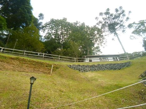Foto 2 do(a) Terreno false à venda em Bingen, Petrópolis
